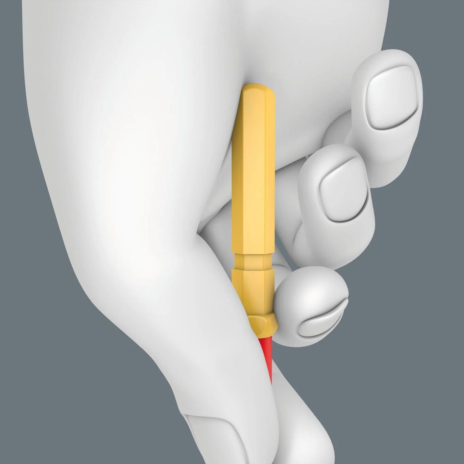 05006501001-WERA-40366868_7.jpg