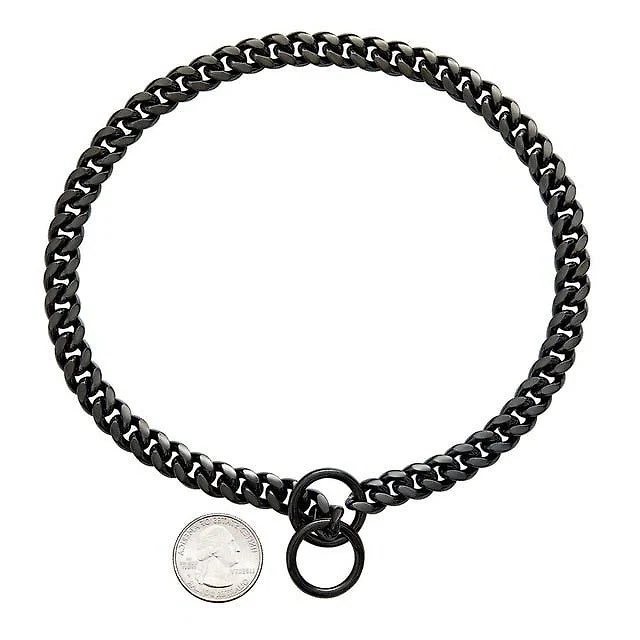 heavy-duty-dog-collar-41191262_4.jpg